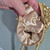 Pre-Loved Vintage-Style Gold Beaded Evening Bag