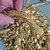 Pre-Loved Vintage-Style Gold Beaded Evening Bag
