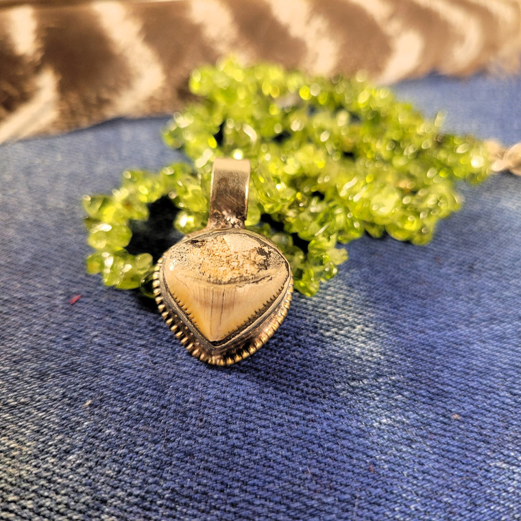Positive Transformation Charm Necklace: Peridot and Fossilized Shark Tooth