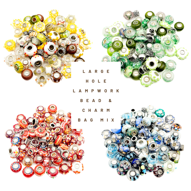 Large Hole Lampwork Bead & Charm Bag Mix