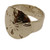 Sand Dollar Ring Size 7