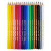 Caran D’Ache lightweight pencil set, perfect for artists of all levels, and a wide variety of surfaces and techniques.
