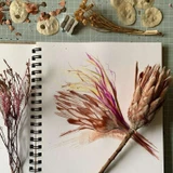 Artway ENVIRO Spiral Bound Recycled Sketchbook - 170gsm - A4 Landscape - Botanical Sketch