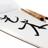 Artway Chinese Sumi Black Ink