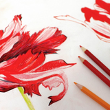 Artway Studio 240gsm Mixed Media Paper Packs - Flower drawing