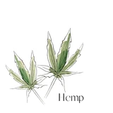 Hemp leaf illustration representing the plant fibre used in Artway Tree Free Hemp Paper