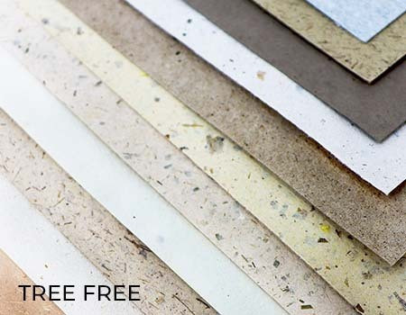 Tree Free Paper & Sketchbooks