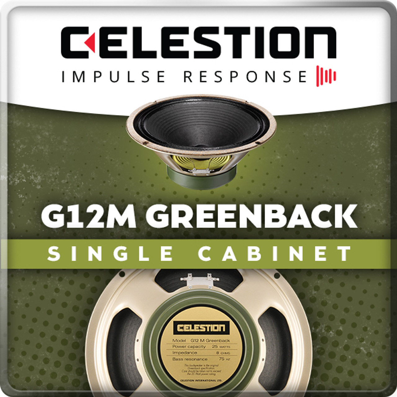 CELESTION セレッション G12M Greenback 12インチ 2本 - 楽器/器材