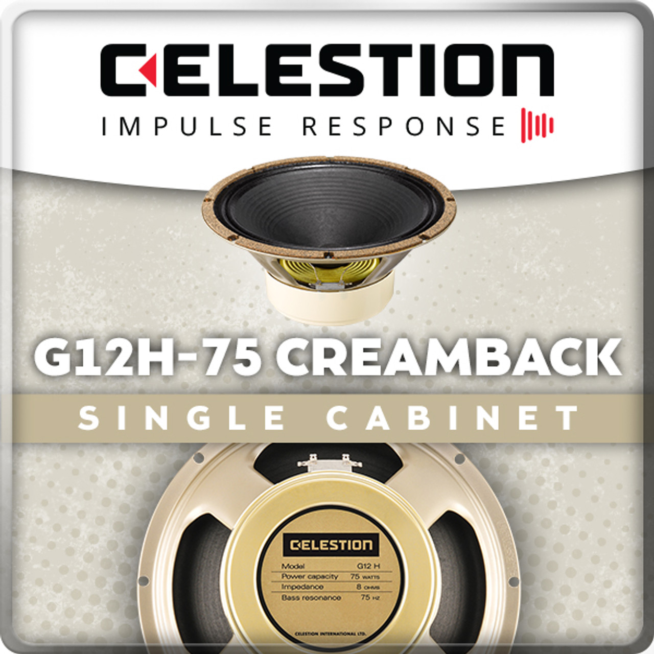 店舗限定Celestion G12H-75 Creamback Made in UK セレッション クリームバック 英国製 キャビネット