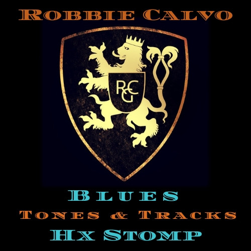 ROBBIE CALVO - HX STOMP - BLUES TONES & TRACKS