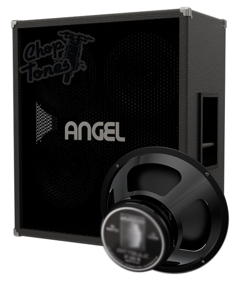 Angel 412XL P50 Cabinet IR