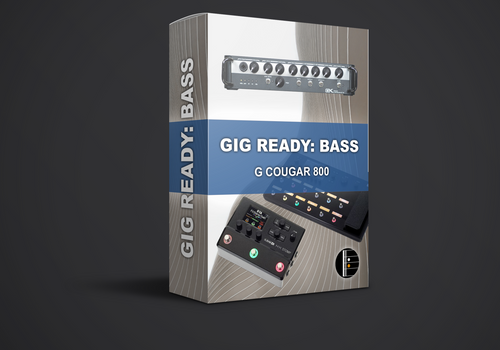 GIG READY: BASS - G COURGAR 800