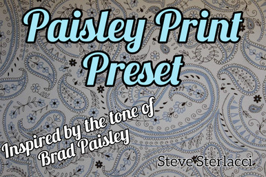 Paisley Print - BLONDIE IN THE CITY