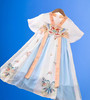 PP110 Korean Hanbok gown with butterfly embroidered print