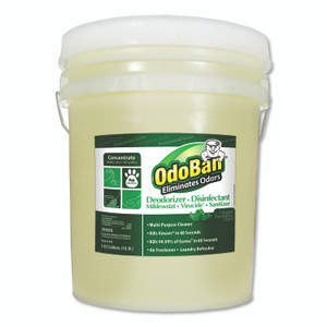 Concentrated Odor Eliminator And Disinfectant, Eucalyptus, 5 Gal Pail - ODO9110625G