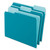 Interior File Folders, 1/3-Cut Tabs, Letter Size, Teal, 100/box - PFX421013TEA