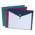 Poly Envelopes, Letter Size, Assorted Colors, 4/pack - PFX90016