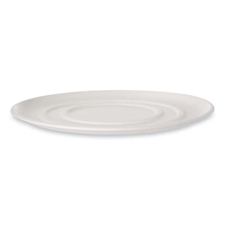 Worldview Sugarcane Pizza Trays, 16 X 16 X 02, White, 50/carton - ECOEPSCPTR16