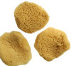 These little Mediterranean Silk sponges are great for washing your face. Just put a little cleanser on and use circular motions to remove dirt, debris and makeup. Rinse, squeeze, and it's ready for the next time. Sponges measure aproximately 2 x 3, sizes will very.
