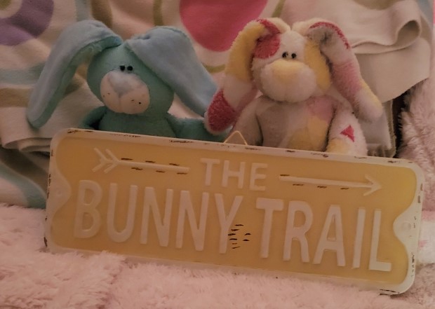 flop-and-corey-bunny-trail-sign-2-.jpeg