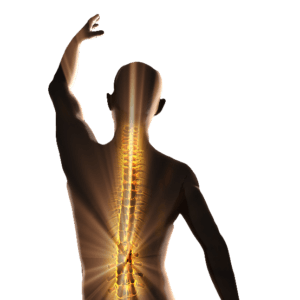 migun-table-body-spine-image-300x300.png