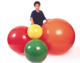 PhysioGymnic Inflatable Exercise Balls and Rolls