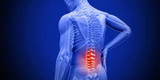 Got Back Pain? Physical Therapy May Be The Answer