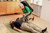 Raizer Accessory, Replacement Raizer M Carry Case
