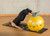 Smart Stability Ball, Yellow, 55cm