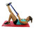 Home Yoga Package, Economy