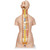3B Scientific Anatomical Model, Deluxe Dual Sex Torso with Opened Back