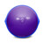BOSU BYOB Home Balance Trainer, Purple Bladder/Blue Rim