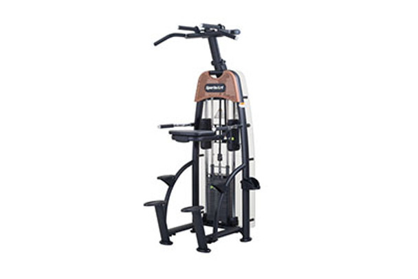SportsArt N911 Status Assisted Chin-Up and Tricep Dip