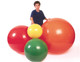 PhysioGymnic Inflatable Exercise Balls and Rolls