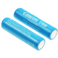 Battery Charger 17335