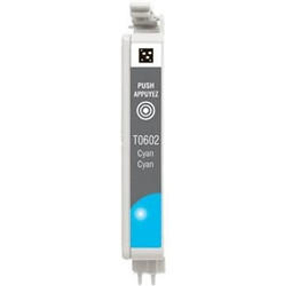 Epson T060220 Ink Cartridge