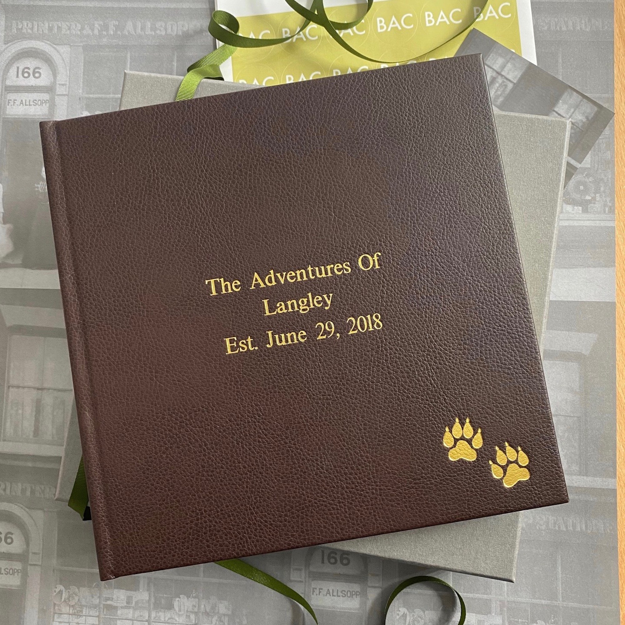 Album Photo Fait Main Motif Patte De Chien - Grand Format 30,5x35,6 Cm, Feuillage Et Papier Artisanal, Neuf