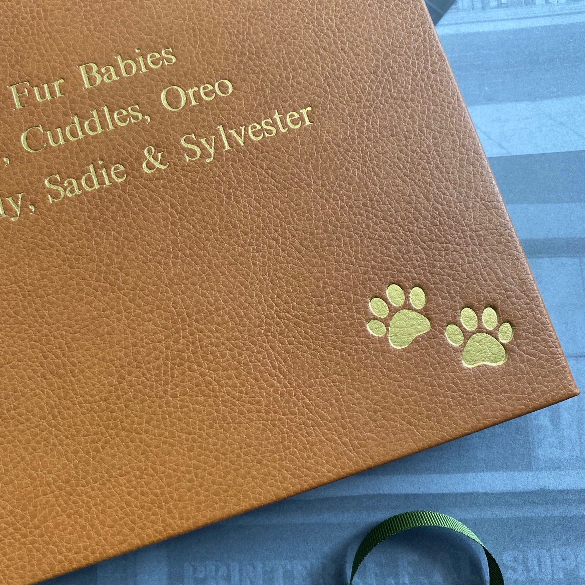 Personalised Cat Photo Album Bespoke Album Company personalised-cat-photo-album-bespoke-album-company