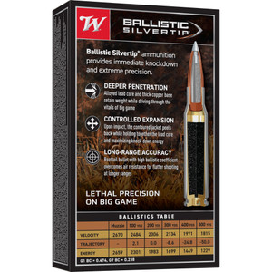Winchester 308  Ballistic Silvertip 168gr