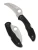 Spyderco Tasman Salt 2