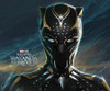 MARVEL STUDIOS BLACK PANTHER WAKANDA FOREVER ART M