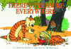 CALVIN & HOBBES THERES TREASURE EVERYWHERE NEW PTG