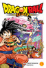 DRAGON BALL SUPER GN VOL 11