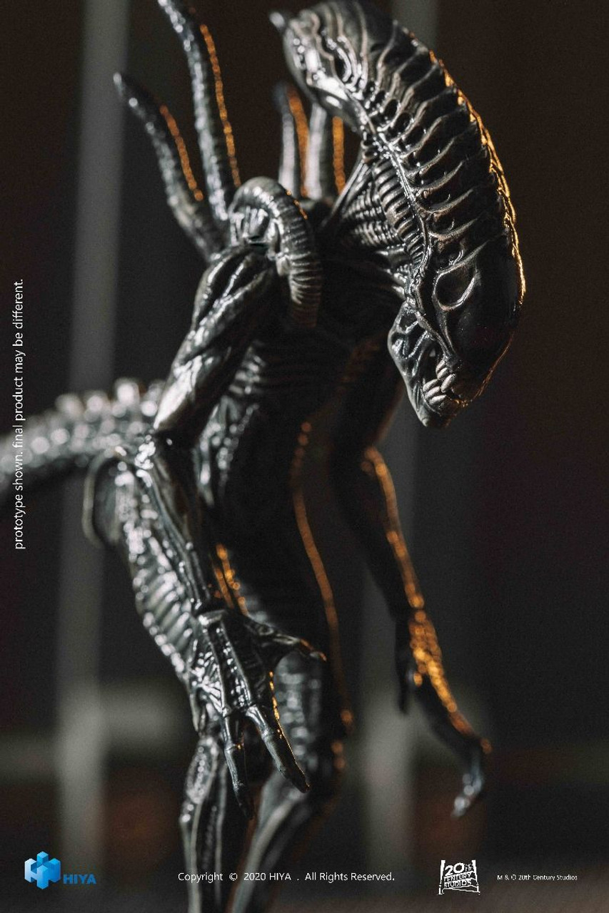 AVPR XENO WARRIOR PX 1/18 SCALE FIGURE