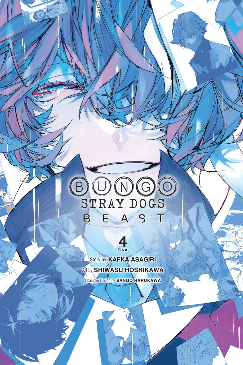 BUNGO STRAY DOGS BEAST GN VOL 04 (OF 4)