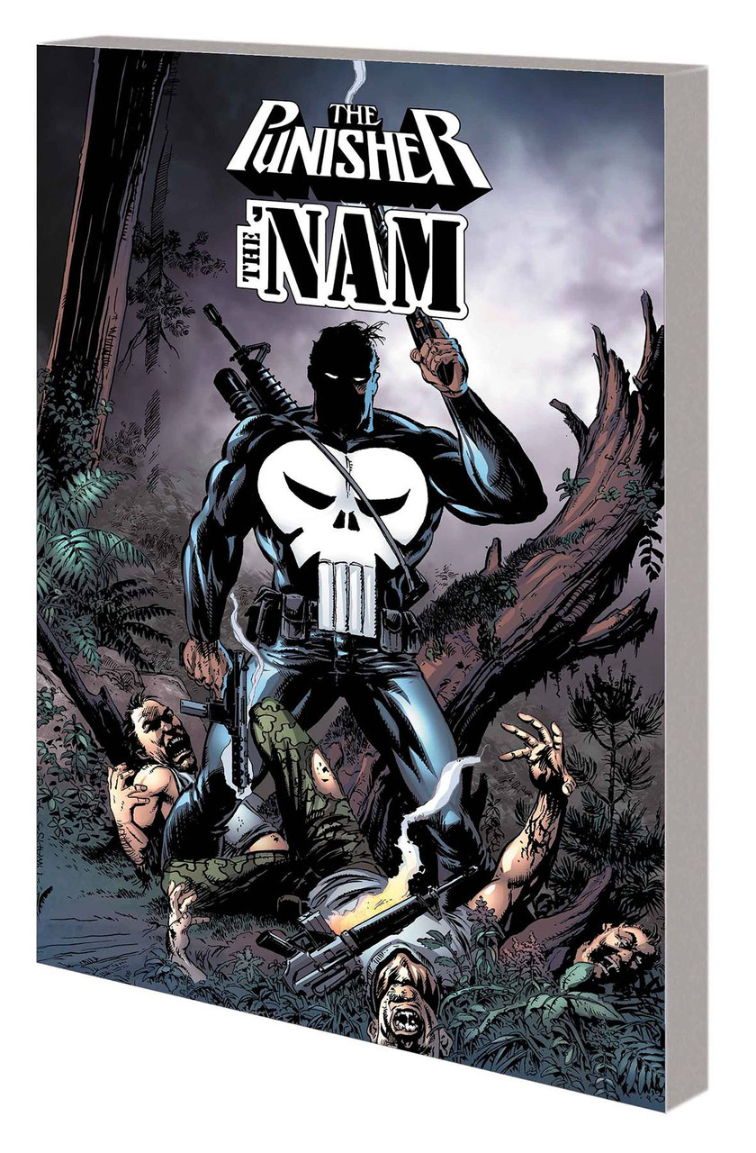 PUNISHER INVADES THE NAM TP NEW PTG