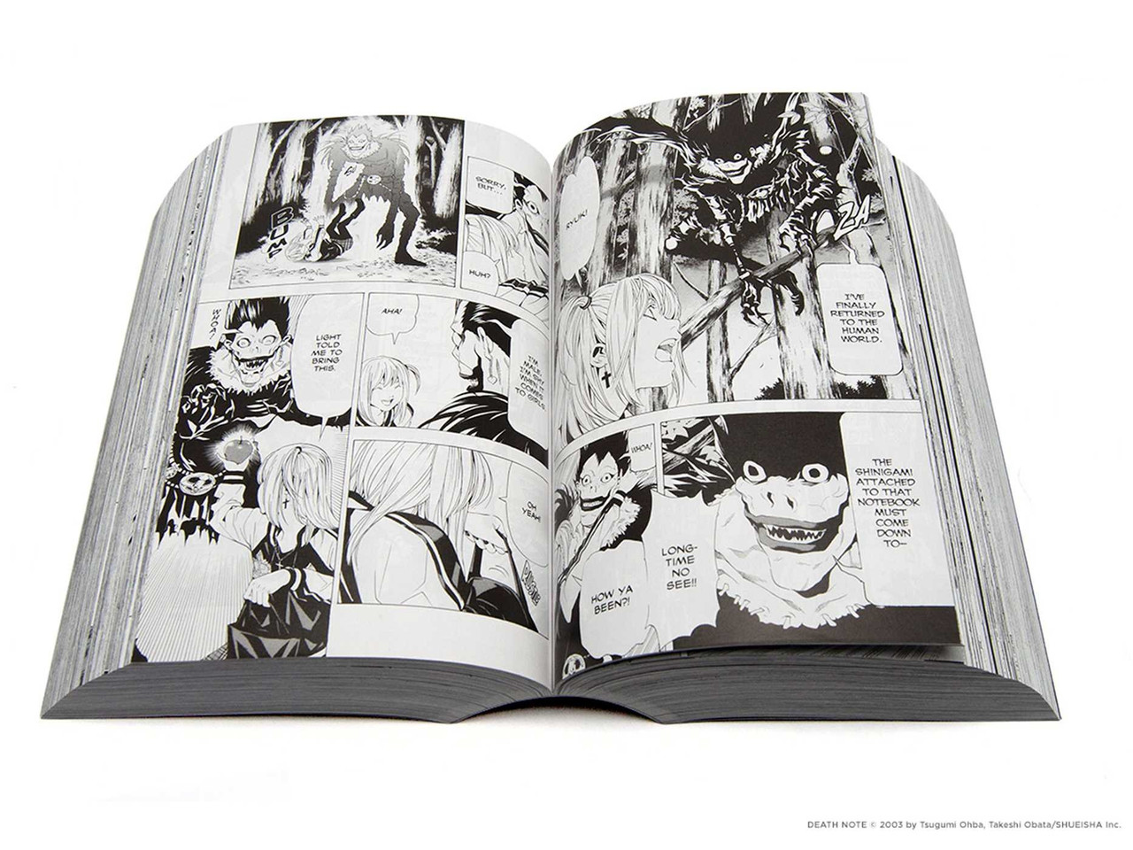 DEATH NOTE SLIPCASE GN ALL IN ONE EDITION