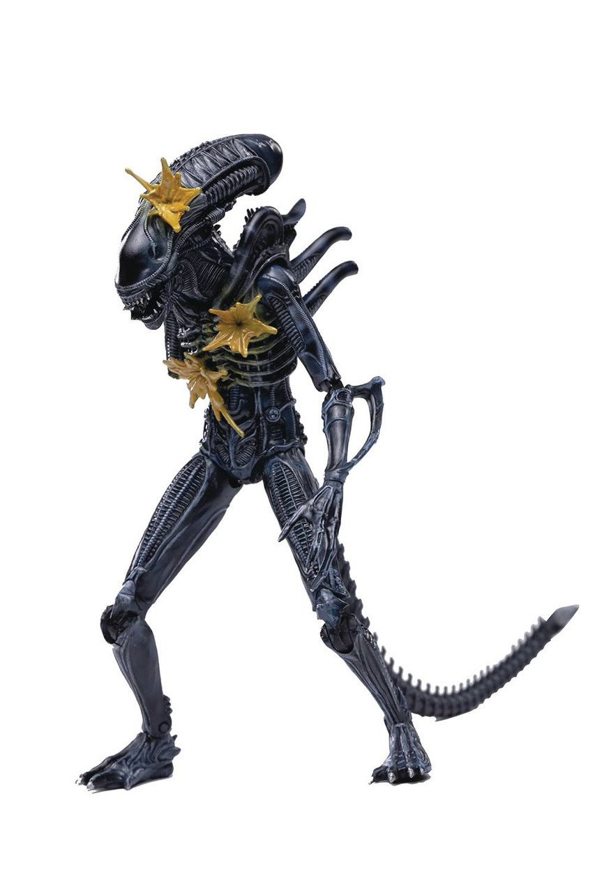 ALIENS BATTLE DAMAGE ALIEN WARRIOR PX 1/18 SCALE F - Graphic