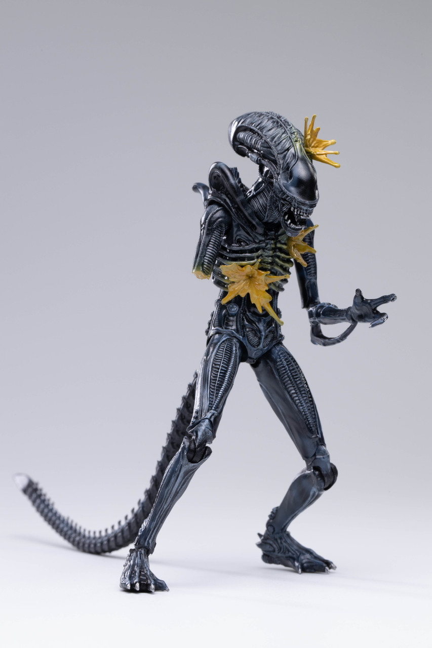 ALIENS BATTLE DAMAGE ALIEN WARRIOR PX 1/18 SCALE F - Graphic
