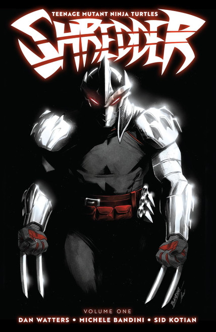 TEENAGE MUTANT NINJA TURTLES SHREDDER VOL 01